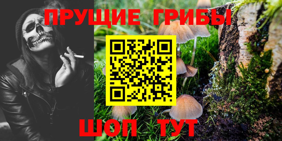 Псилоцибиновые грибы GOLDEN TEACHER Новоалександровск