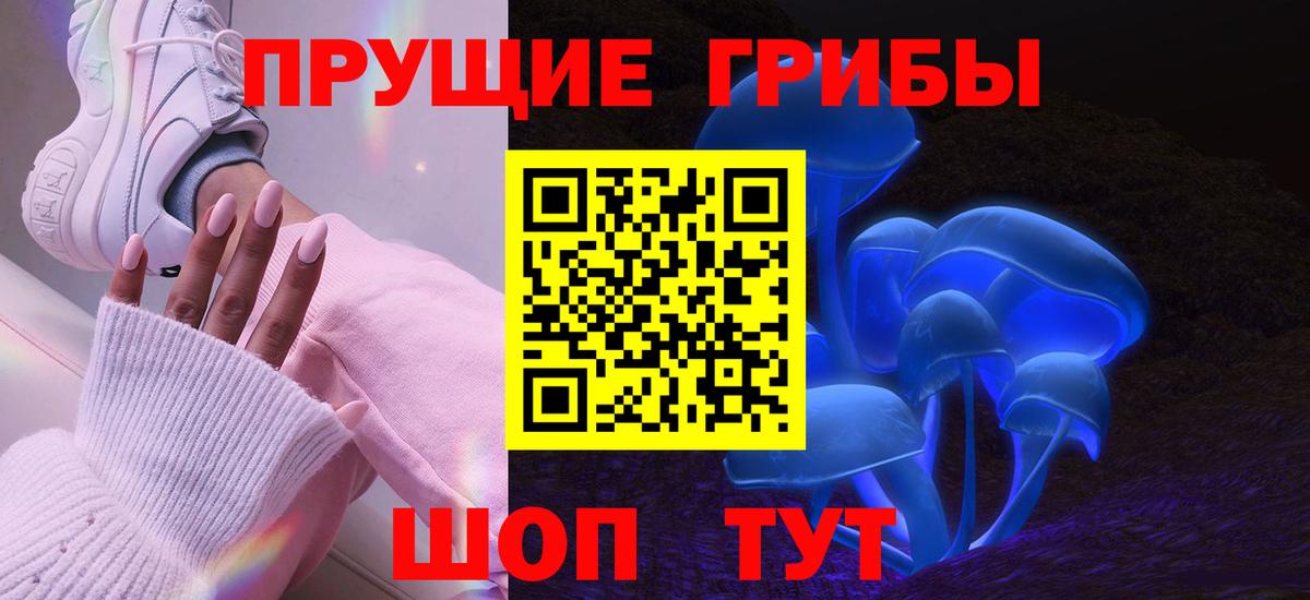 Галлюциногенные грибы мицелий  Вход с VPN  Псилоцибиновые грибы Magic Shrooms  Новоалександровск 
